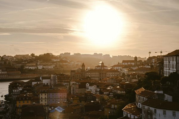 Newzealand Infocenter