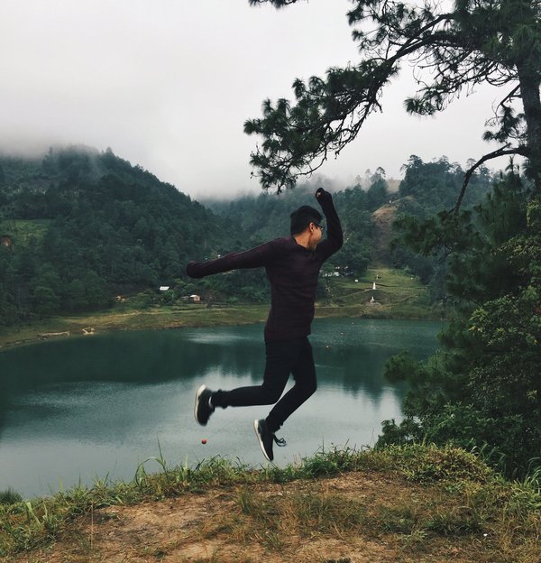 Guide pour une expérience de plongée en cage avec les grands prédateurs marins