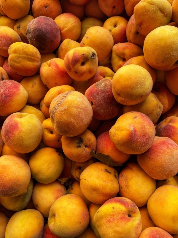 les campings pour les amateurs de pêche